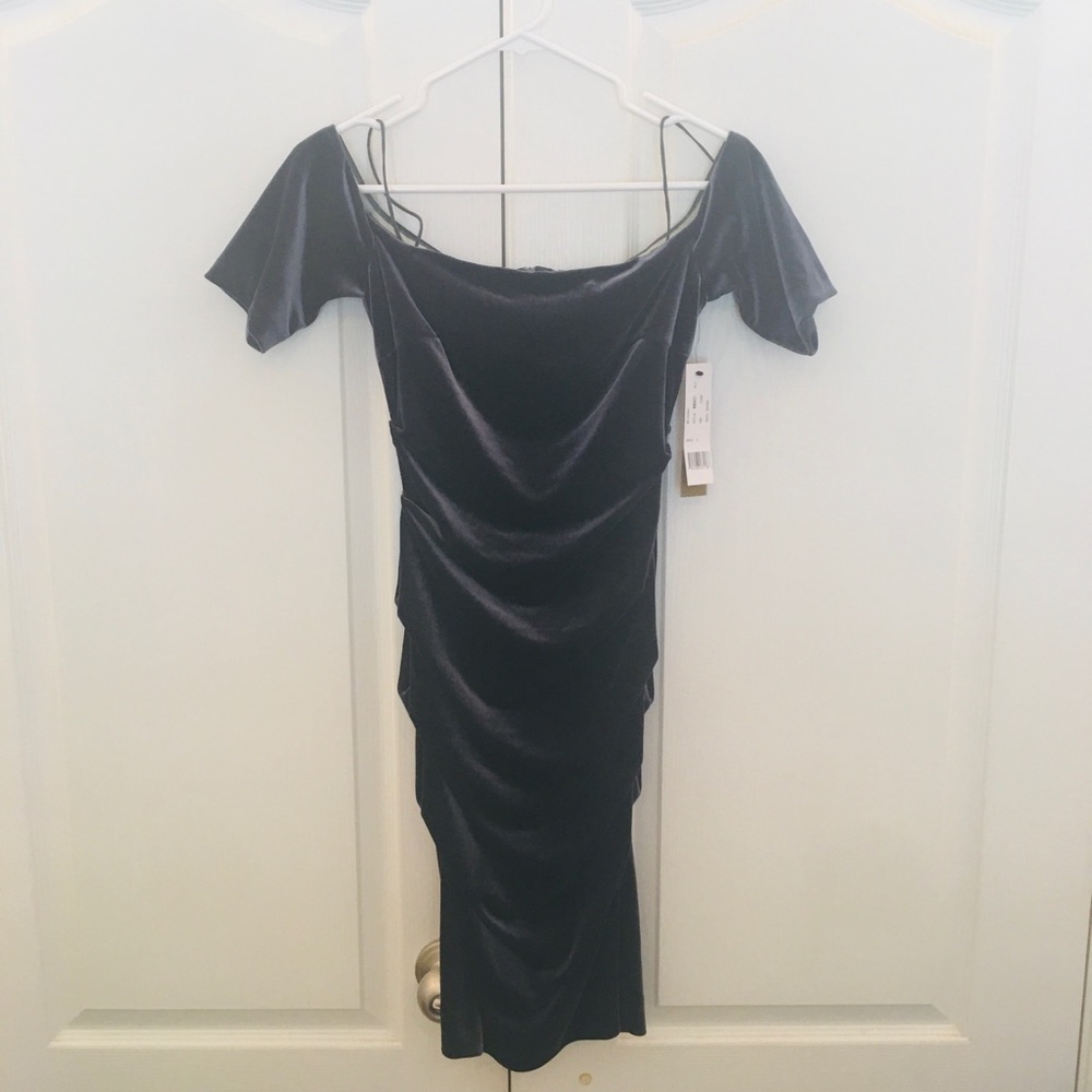 Nicole Miller Velvet Ruched Dress (4)
